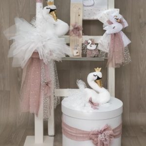 ΒΑΠΤΙΣΤΙΚΟ ΠΑΚΕΤΟ ΚΥΚΝΟΣ